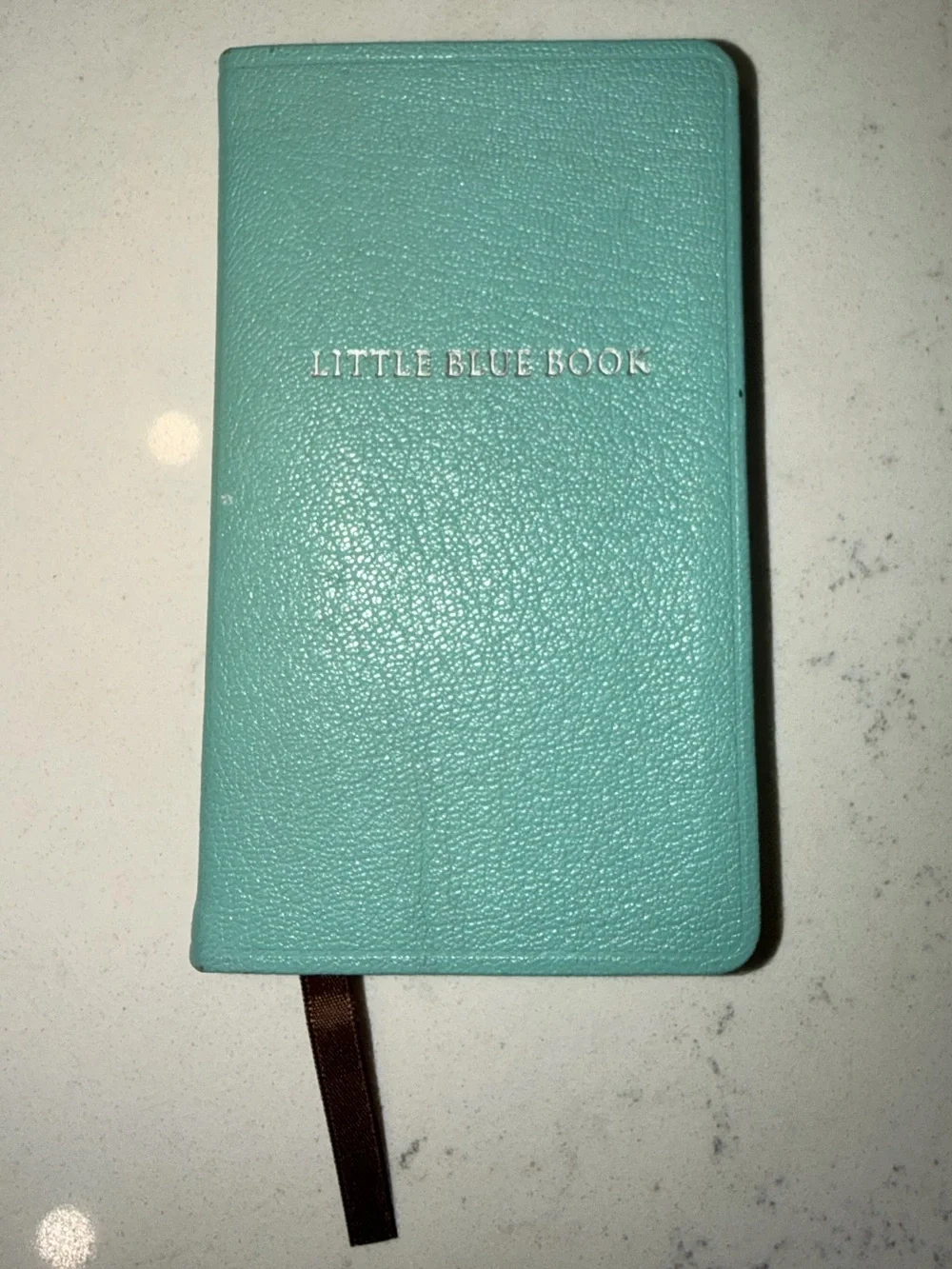 Tiffany & Co. Little Blue Book Leather Journal - Like New 🩵
